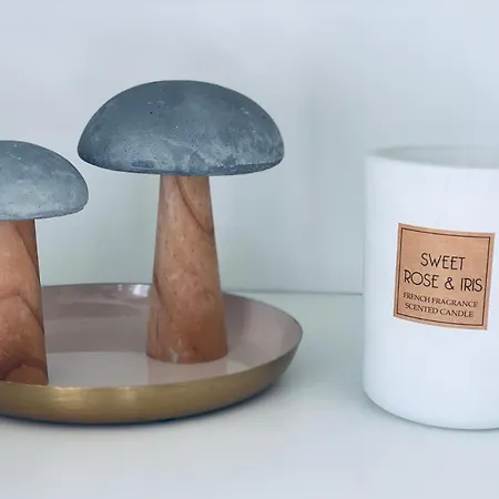 Sunside Im Herzen Von Appartement Winterberg